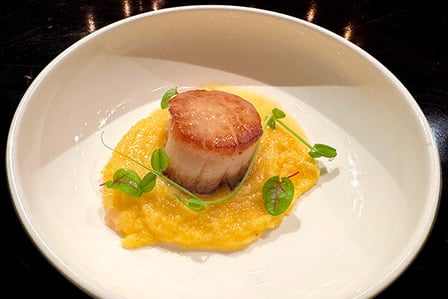 image of diver scallop dish