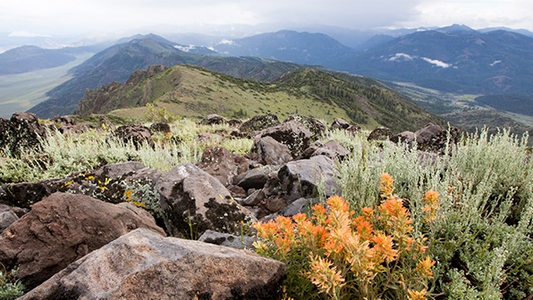 Nevada Mountain Landscape - Best Seasons to Visit