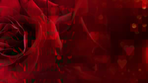 Valentine's Day at GSR